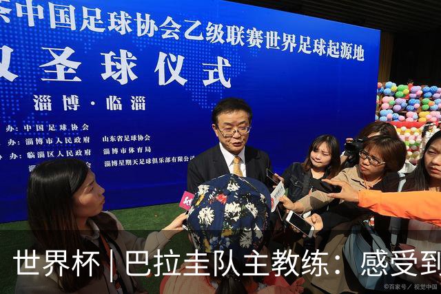 世界杯 | 巴拉圭队主教练：感受到比赛的极致压力